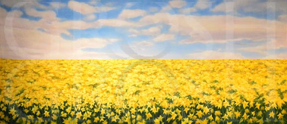 Shrek Daffodil Field Backdrop Projection